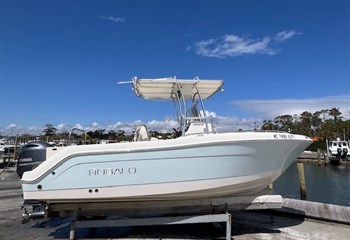 2017 Robalo R222 ES Boat